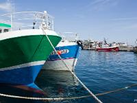 Port de pêche du Guilvinec  Autre vue sur le port