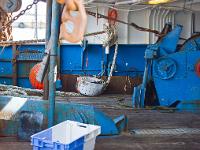 Port de pêche du Guilvinec  A bord ! ...