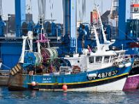 Port de pêche du Guilvinec  Autre vue sur le port