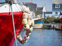 Port de pêche du Guilvinec  Autre vue sur le port