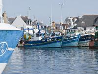 Port de pêche du Guilvinec  Autre vue sur le port