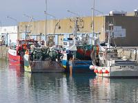 Port de Saint Guénolé  Sur le port de pêche de Saint Guénolé