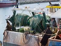 Port de Saint Guénolé  Sur le port de pêche de Saint Guénolé