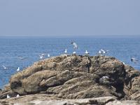 Port de Saint Guénolé  Derrière la digue ! ...