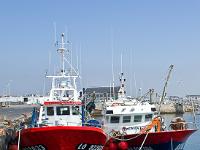 Port de Saint Guénolé  Sur le port de pêche de Saint Guénolé