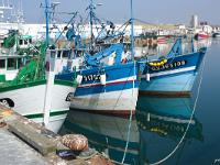 Port de Saint Guénolé  Sur le port de pêche de Saint Guénolé