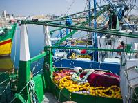 Port de Saint Guénolé  Sur le port de pêche de Saint Guénolé