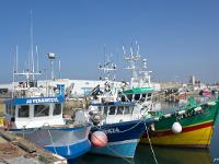 Port de Saint Guénolé  Sur le port de pêche de Saint Guénolé