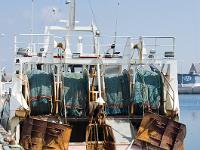 Port de Saint Guénolé  Sur le port de pêche de Saint Guénolé