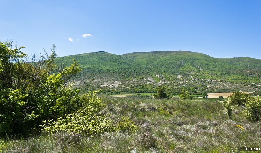 printemps-2013-cvsd-01web.jpg - L'adret de la Crête de Chapage (981 m). Derrière se trouve la Vallée du Jabron
