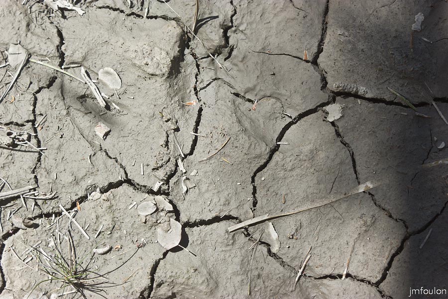 printemps-2013-cvsd-02web.jpg - Sol craquelé dans les Roubines