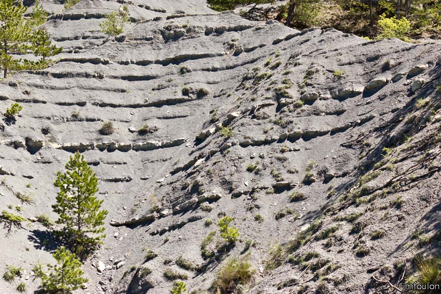 printemps-2013-cvsd-05web.jpg - Les Roubines, grande et longue colline marneuse