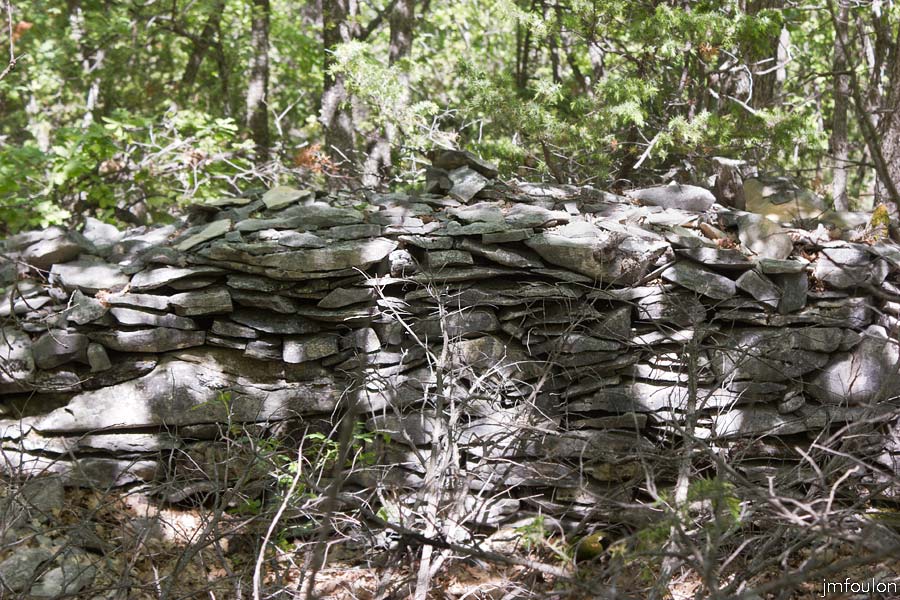 printemps-2013-cvsd-13web.jpg - La Forêt domaniale du Prieuré (ici le Grans Bois) - Ruines d'un enclos de berger et de son abrit