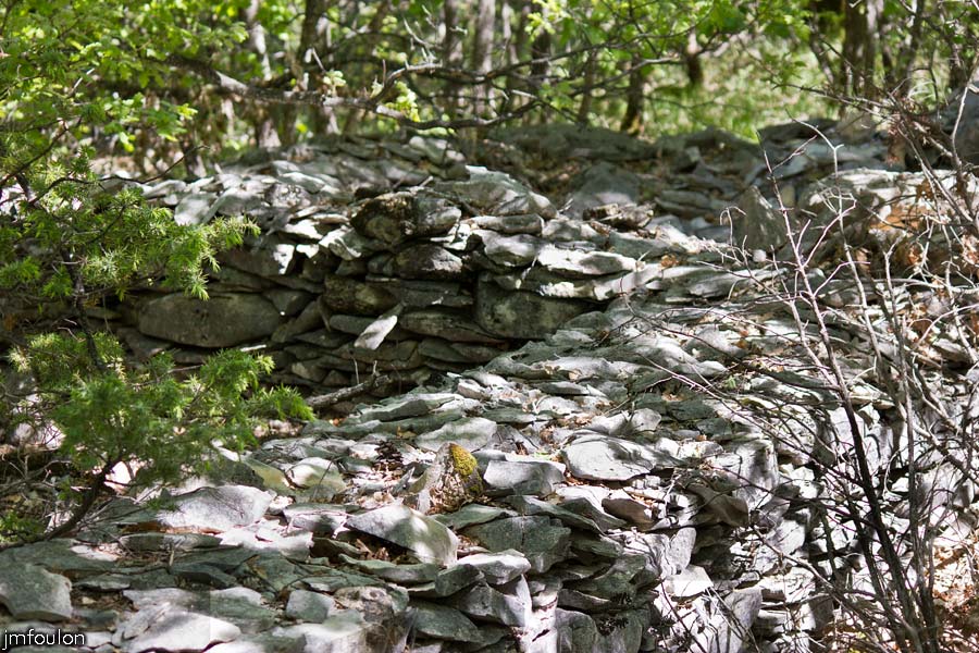 printemps-2013-cvsd-14web.jpg - La Forêt domaniale du Prieuré (ici le Grans Bois) - Ruines d'un enclos de berger et de son abrit - Un des murs de l'enclos et la cabane carrée (autre vue)