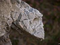 Crozon - Pointe de Dinan au couchant  Créature de pierre à la pointe de Dinan