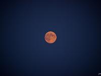 Crozon - Pointe de Dinan au couchant  La lune depuis la pointe de Dinan