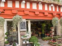 Quimper  Maison à pan de bois