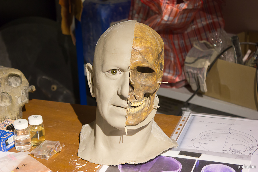 musee-011-2.jpg - Atelier de reconstitution anatomique - Reconstitution