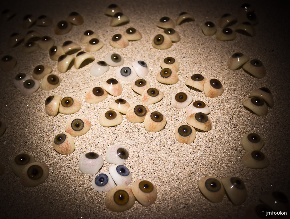 musee-012-2.jpg - Des yeux servant à l'élaboration des reconstitutions