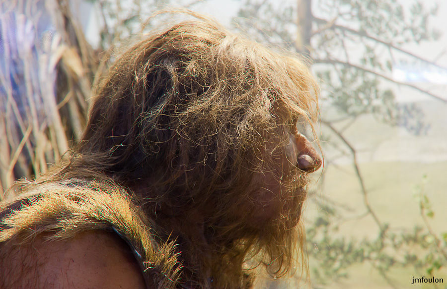 musee-027-2.jpg - Homme de Néandertal