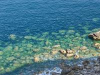 Presqu'île de Crozon  Au pied de la falaise
