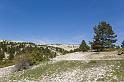 ventoux-007-2