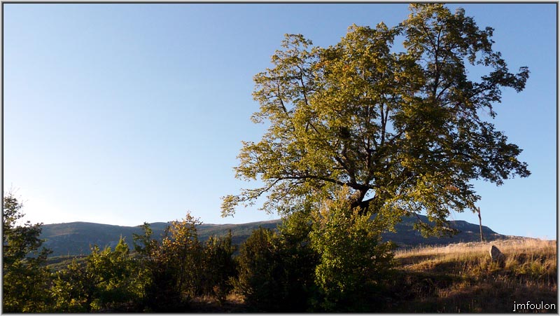 eglise-38web.jpg - Vue vers le nord-ouest  avec au 1er plan, le fameux tilleul séculaire