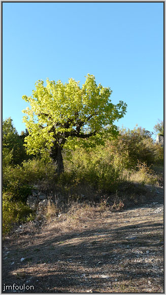 vx-village-15web.jpg - Chemin d'accès carrossable au village. Nous allons nous rendre dans une ruelle qui part à gauche au niveau de l'arbre