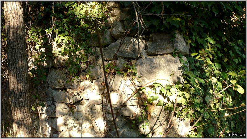 vx-village-31web.jpg - En entrant dans la végétation