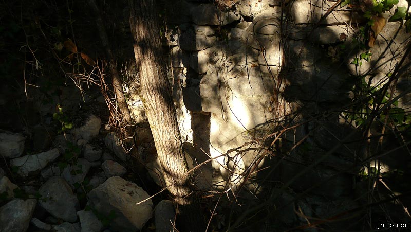 vx-village-32web.jpg - En entrant dans la végétation