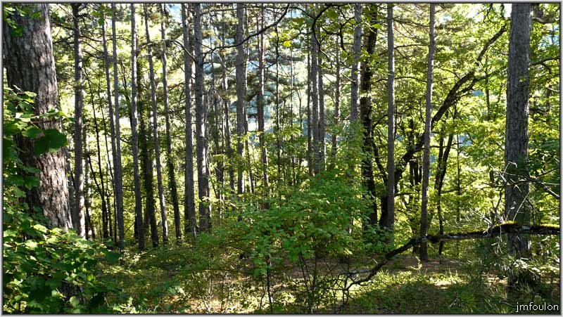 vx-village-40web.jpg - La végétation à repris ses droits (sud du village)