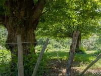 Jaunac  La campagne environnante
