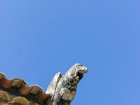 La Bastide des Jourdans  Eglise Saint Pierre aux Liens (XIIIe) - Gargouille au Sud du  bâtiment ...