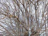 ND de Calma  Curieuse construction à quelques mètres à l'Ouest de l'église (?)