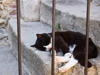 lacoste-050-2  Lacoste - Sieste !