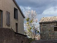 Le Poët - Hautes Alpes  Autre vue du village (Ville Haute)