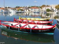 Martigues - L'île  Barques clu Club Martégal de Joutes Provençales