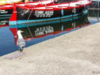 Martigues - L'île  Mouette sur le quai Lucien Toulmond