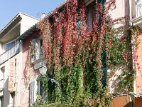 Martigues - L'île  Facades quartier de L'île