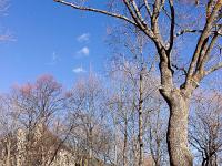 Place forte de Mont Dauphin - XVIIe  Plantation