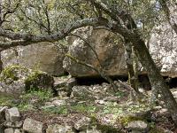 Plateau de Ganagobie (04)  Près de cette source sous roche, des vestiges de ce qui fut un abri pour les troupeaux 1/2 ...