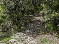 Plateau de Ganagobie (04)  Ancienne voix caladée qui descendait plein Nord sur la vallée de la Durance. Un des trois accès au plateau au moyen-âge ...