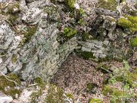 Plateau de Ganagobie (04)  Les ruines du viilage de villevieille - Une cave ...