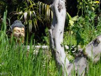 Port-de Bouc - Carro 03/2026  Port-de-Bouc - Petit coin de paradis rue Paul Lombard ...