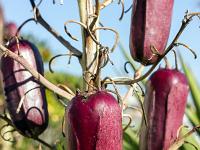 Port de Bouc - Bouches du Rhône