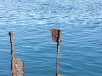 Port de Bouc - Bouches du Rhône