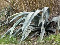 Port de Bouc - Bouches du Rhône  Le long du chenal