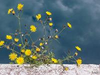 Port de Bouc - Bouches du Rhône  Le long du chenal