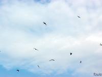 Port de Bouc - Bouches du Rhône  en levant les yeux au ciel ! ...