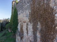 Régusse (Var)  Vestiges des remparts au Nord